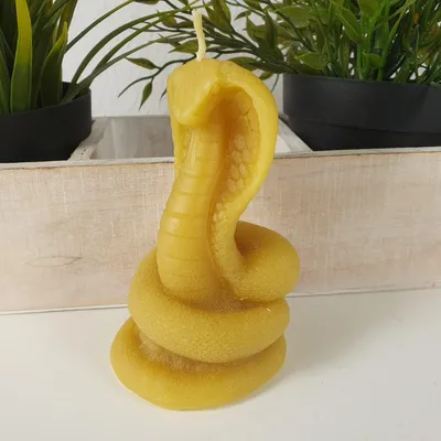 Produktbild von Bienenwachskerze Schlangen Kerze Kobra 12 cm