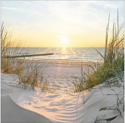 Produktbild von Leinwandbild Beach View 40x40 cm