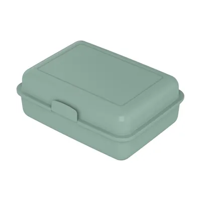 Produktbild von Lunchbox "School-Box" groß - Nachhaltige Brotzeitbox aus Zuckerrohr - Brotdose ideal für Kinder und Erwachsene - minze