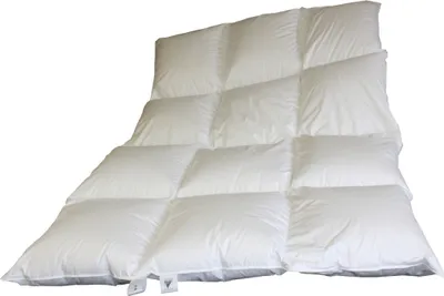 Produktbild von Hofmann Franken Winterbett Daunendecke Daunenbett 3x4, 155x220 100%.Daunen warm