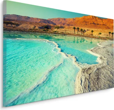 Zdjęcie produktu dla Obraz do salonu Morze Martwe plaża PALMY Tropikalna ozdoba 3D 120x80cm