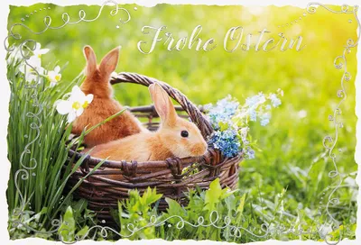 Produktbild von Ostern  Unverpackt  Glückwunschkarte im Format 115 x 17cm mit Umschlag