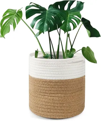 Immagine prodotto di Vaso da fiori da 20 cm, in cotone, per interni, cesto portaoggetti intrecciato, 20 cm x 20 cm