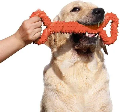 Immagine prodotto di Giocattolo resistente per cani, osso da masticare in gomma dura, 33 cm