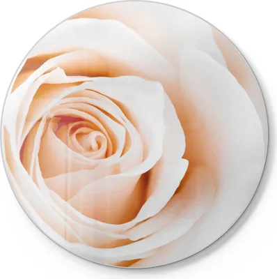 Produktbild von DEQORI Schneidebrett Glas Ø 30 cm 'Sanfte Rosenpracht' Schneideplatte Servierplatte groß