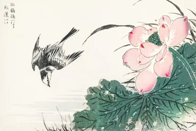 Produktbild von Plakat 60x40cm Japanischer Bachstelze, Kashu Vintage für das Wohnzimmer