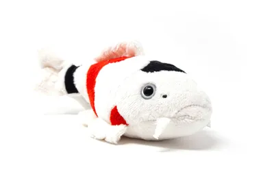 Immagine prodotto di Cornelissen - Peluche - Koi - 22 cm