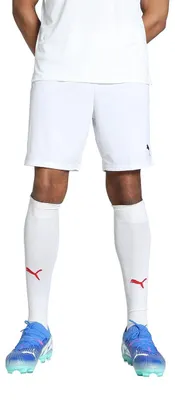 Obrázok produktu pre Pánske šortky Puma Teamgoal - biele