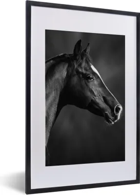 Produktbild von MuchoWow® Gerahmtes Poster Pferd - Tiere - Schwarz - Weiß - Porträt 40x60 cm - Poster mit Schwarzem Bilderrahmen Wandposter Rahmen Foto Bilder - Poster in Rahmen