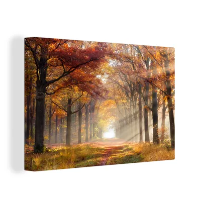Obrázok produktu pre OneMillionCanvasses® - Maľba na plátne - Obraz na plátne Nástenná maľba na plátne - Jeseň - Les - Strom - 150x100cm - Fotografia na plátne - maľba na