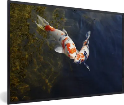 Produktbild von MuchoWow® Gerahmtes Poster Zwei Koi-Karpfen im Wasser 90x60 cm - Poster mit Schwarzem Bilderrahmen Wandposter Rahmen Foto Bilder - Fotorahmen - Foto-Plakat