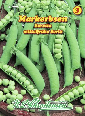 Artikelbild 1 von 'Markerbse Boretta' aus der Kategorie Markerbsensamen