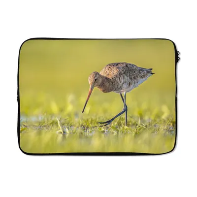 Produktbild von MuchoWow® Laptop Hülle 14 ZollVögel - Gras - Landschaft - Uferschnepfe Laptoptasche - Laptoptasche - Stoßsicher - Schutzhaube