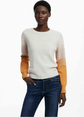 Produktbild von Beiger Damenpullover mit Stickereien und Kontrastdetails – Langarm, Rundhals