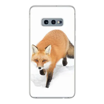 Produktbild von MuchoWow® Handyhülle Schutzhülle Hülle für Samsung Galaxy S10e Fuchs - Schnee - Winter Silikon Softcase Handy Hülle - Handy
