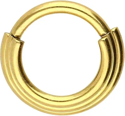 Produktbild von Ohrpiercing, Nasenpiercing, Septum Piercing Chirurgenstahl Segmentring Clicker 3 RINGE