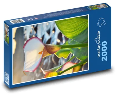 Produktbild von martinpuzzle - Puzzle 2000 Teile - Weiße Blume am Fluss