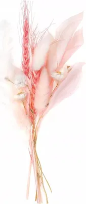 Immagine prodotto di Mini bouquet di fiori secchi di 20 cm circa