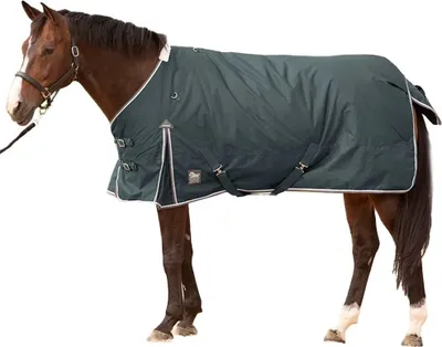 Zdjęcie produktu dla Harry’s Horse Thor 300 g – derka pastwiskowa, niebieska, 175 cm