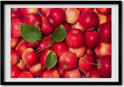 Produktbild von Bild - Bilder - Bilderrahmen - 70 cm x 50 cm - MDF-Rahmen, Wandkunst rote Äpfel