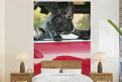 Produktbild von MuchoWow® Fototapete für Wohnzimmer oder Schlafzimmer Wandtapete Vinyl Motivtapete Französische Bulldogge - Auto - Rot - 145x220 cm - Wanddekoration