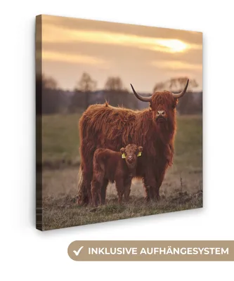 Produktbild von MuchoWow® - Leinwandbilder - Schottische Highlander - Tiere - Landschaft - Sonnenuntergang - Kuh, Wandbild, Wanddeko Bilder Wohnzimmer, 50x50 cm