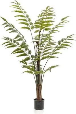 Immagine prodotto di Pianta artificiale Rumohra Adiantiformis Ø150cm - pianta verde artificiale per