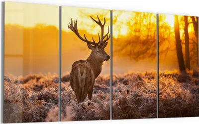 Produktbild von DEQORI Glasbild Echtglas 4x30x60 cm 'Hirsch am Wintermorgen' Wandbilder XXL groß