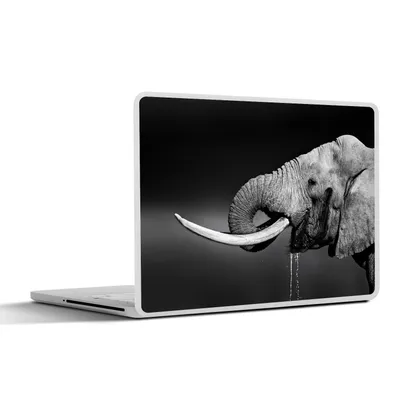 Produktbild von MuchoWow® Laptop Aufkleber Sticker Cover Elefant - Wasser - Schwarz - Weiß 25x18 cm - Laptop-Deko