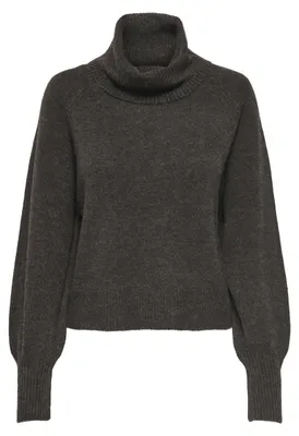 Produktbild von ONLY ONLOLIVIA LS ROLL NECK CC KNT Mole/Melange M