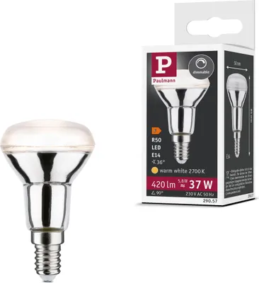 Image de Paulmann Standard 230V LED Reflector 1-set