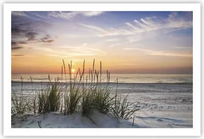 Produktbild von Poster - Poster ohne Rahmen - Westen Sonne Strand - 91,5x61 cm - Wand Bild - Wanddeko - Wandbilder - Kunstposter - Wandposter - Bilder - Kunstdruck - Wanddekoration - Wandbild - P2XAA91x61-4201