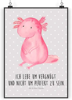 Produktbild von Mr. & Mrs. Panda Bild Axolotl Niedlich DIN A3 - Grau Pastell - Geschenk, Weisheit, Plakat, Kunstdruck, Fröhlich, Wandbild, drucke, Liebe, wanddeko, Lebensweisheit
