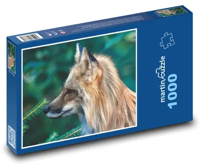 Obrázok produktu pre Puzzle 1000 Divoká líška v lese - martinpuzzle