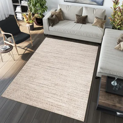 A living room scene with a sofa, armchair, rug, and coffee table.