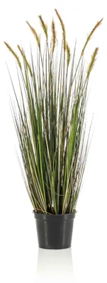 Produktbild von Emerald Künstliches Fuchsschwanzgras im Topf 90 cm
