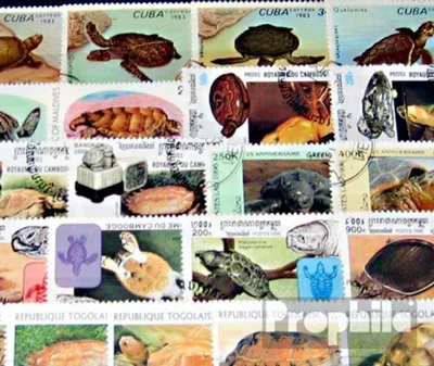 Produktbild von Briefmarken Motive 50 verschiedene Schildkröten Marken