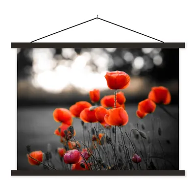 Produktbild von MuchoWow® Textilposter Rote Mohnblumen vor schwarzem und weißem Hintergrund 40x30 cm mit schwarzem Rahmen - Dekorationen