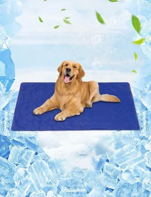 Produktbild von Famanu Kühlmatte für Hunde, Katzen und Haustiere - 60 x 90 cm