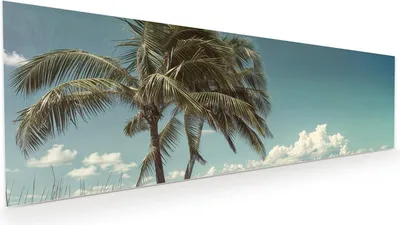 Produktbild von Glasbild 120x40cm in XXL für Wohnzimmer, Schlafzimmer Motiv Strandstraße Palmen