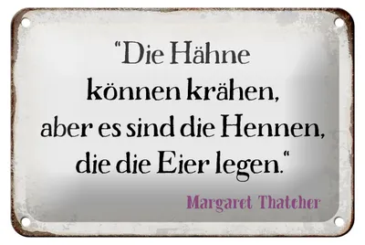 Produktbild von Blechschild Spruch 18x12cm Hähne können krähen aber es sind