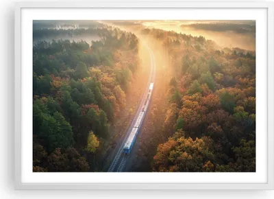 Produktbild von Gerahmtes Poster - Weißer Rahmen - Bahn Herbst So - 70x50 cm - Wand Bild - Wanddeko - Wandbilder - Kunstposter - Wandposter - Bilderrahmen - Bilder - Kunstdruck - Wanddekoration - P2WAA70x50-4632