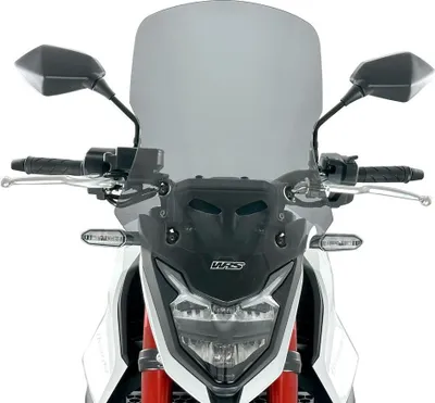 Immagine prodotto di Wscrn Capo Hornet 750 Fumo