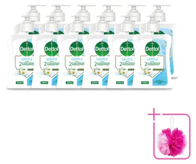 Productafbeelding van 12 x Dettol Handzeep Mild - Kamille & Katoenbloem - 250 ml - Voordeelverpakking - 12 stuks