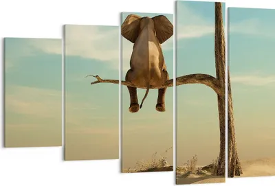 Produktbild von Bild auf Leinwand - Leinwandbild - 5 Teile - Elefant sitzend Ast - 150x100cm - Wand Bild - Wanddeko - Wandbilder - Leinwanddruck - Bilder - Wanddekoration - Leinwand bilder - Wandbild - EG150x100-4557
