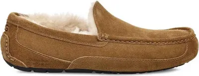 Produktbild von Ugg Ascot Braun - Hausschuhe für Männer - 1101110-CHE