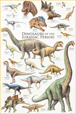 Produktbild von Poster - Educational - Bildung - Dinosaurs - Jurassic Period Dinosaurier