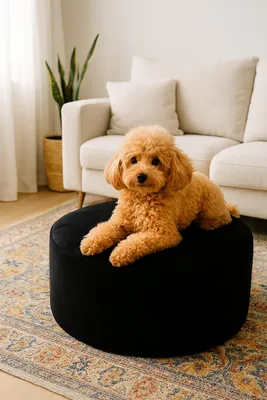 Produktbild von Schwarzer Pouf 60×30 cm – Runder Sitzhocker / Fußhocker, KI-generiertes Bild