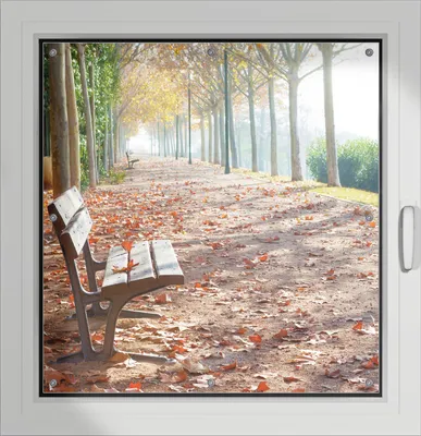 Produktbild von Wallario Lichtschutzbild, Dekorativer Sichtschutz Sonnenschutz 96 x 93 cm mit Motiv: Einsame Parkbank an einer Allee - Herbststimmung - Verdunklung ohne Bohren