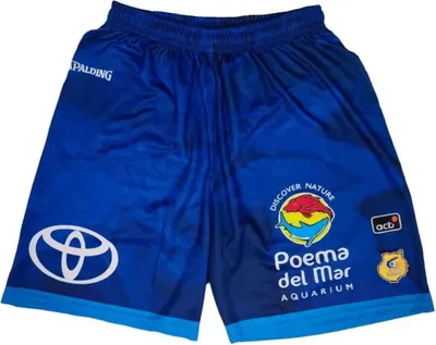 Produktbild von Shorts Spalding SPALASMUGRCA04-25 für Herren